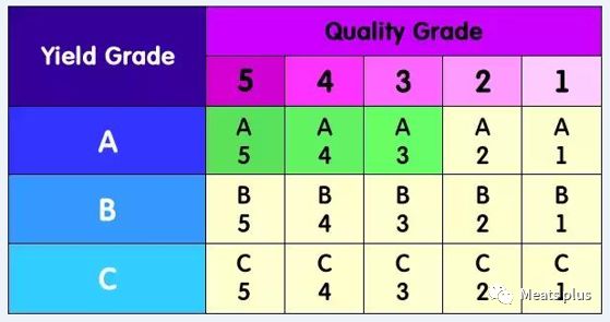 MeatsPlus超全牛排知识及攻略指南,上篇