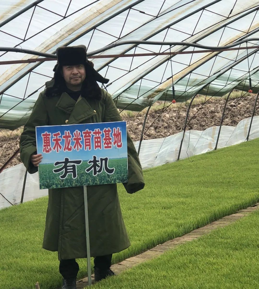 “中粮是绿皮火车，我们是高铁或飞机”丨专访龙米家创始人姜丰