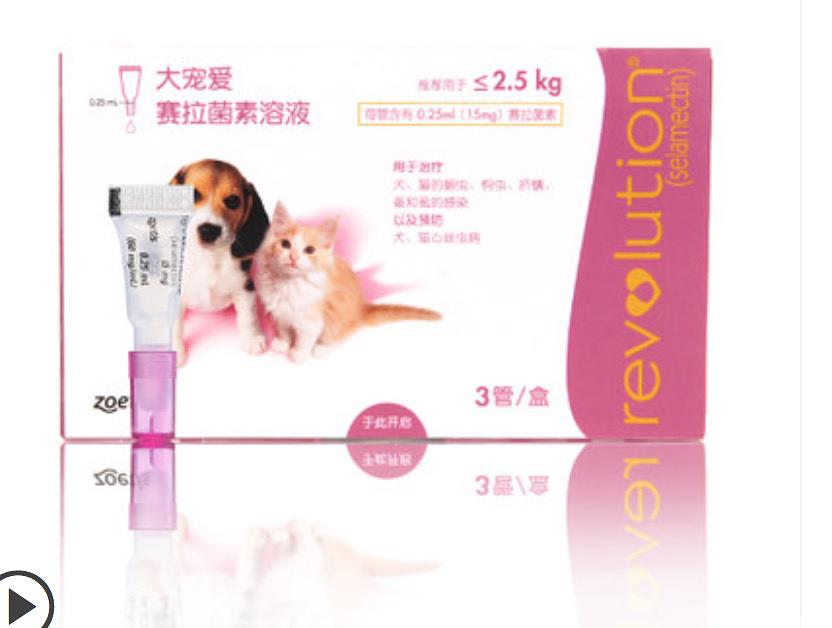 养猫干货方法与技巧,养猫干货视频教程全集