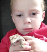 爸爸的爱英文版,春雨蜂蜜水乳怎么样