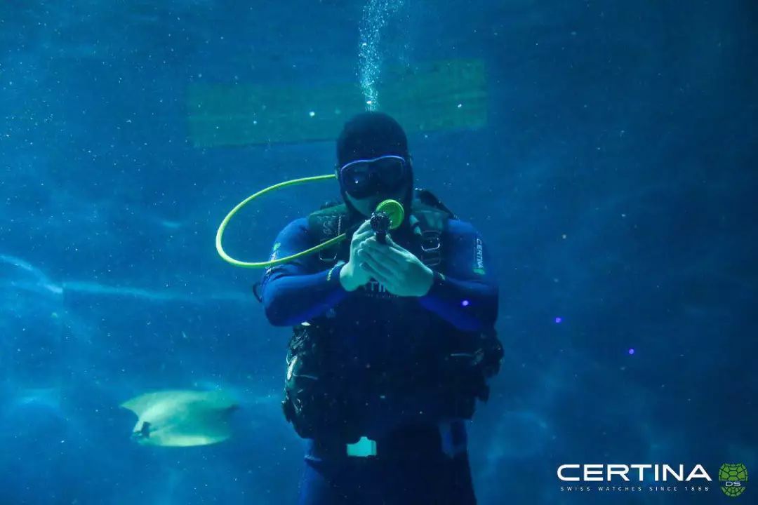 沛纳海潜水表哪个系列好,沛纳海潜水表评价