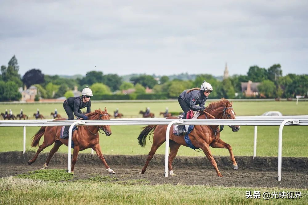 2022年度的ipa摄影大赛获奖作品,2020ippa摄影大赛奖项公布