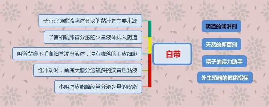 先别急着害羞，*裤内**分泌物出现这4个疾病信号，你要警惕了
