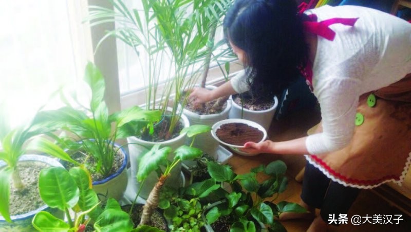 生活实用小技巧咖啡渣妙用,咖啡渣别丢大有用途生活小妙招