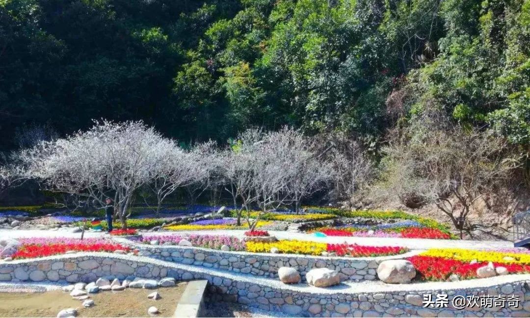 御水温泉陆河,御水湾温泉度假d区