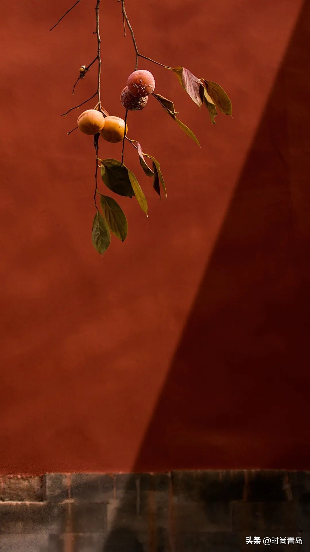 我喜欢故宫,有种红叫故宫红