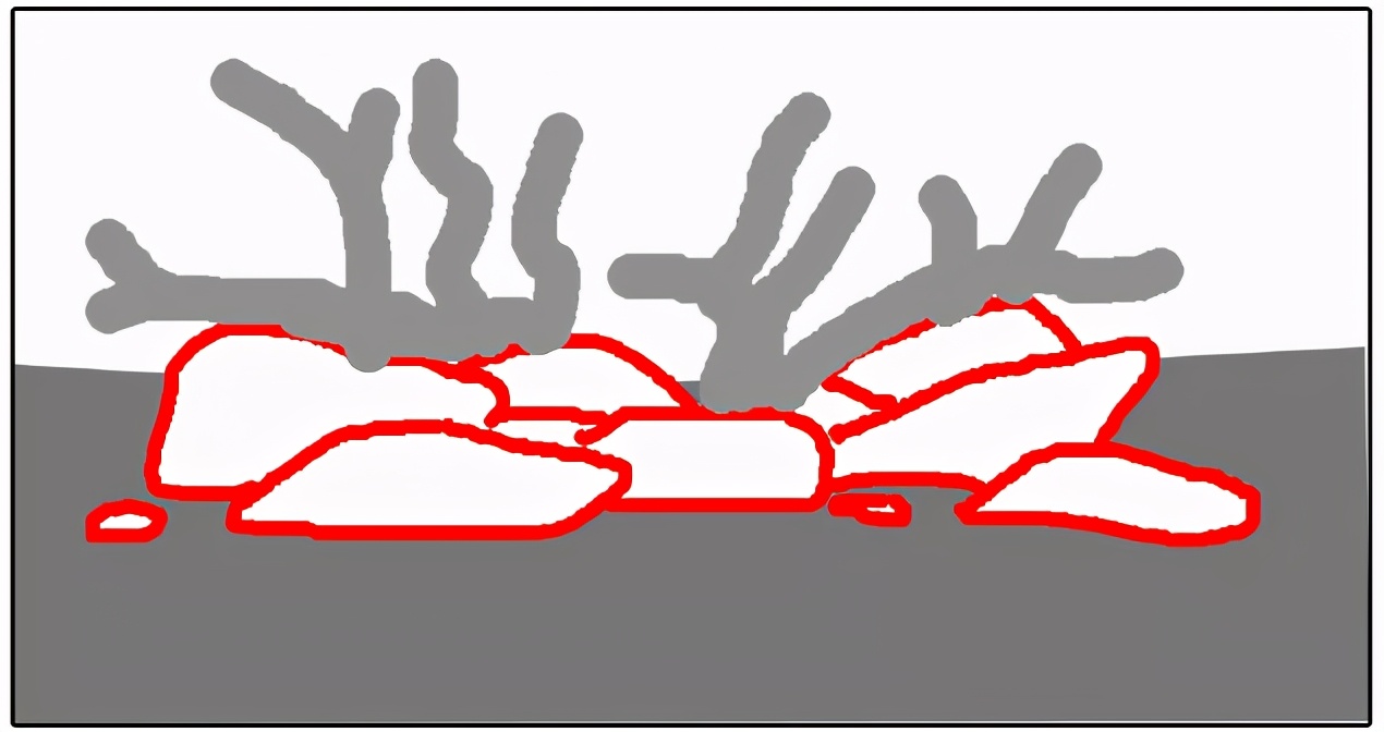 三角形构图水族造景,水族造景构图黄金比例