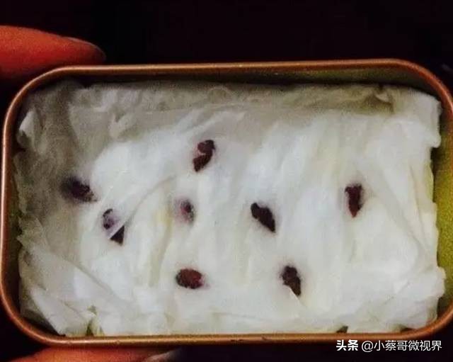 吃完的水果不要扔试试在家就能种,吃完的水果种子