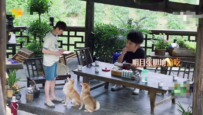 彭昱畅陈赫邓超吃花生,快乐大本营陈赫拿鸡肝