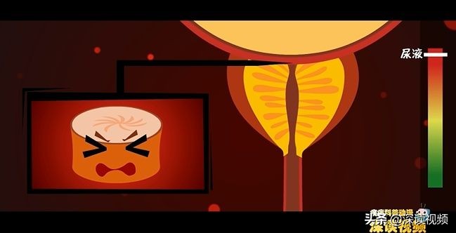 尿不爽,尿不臭是怎么回事