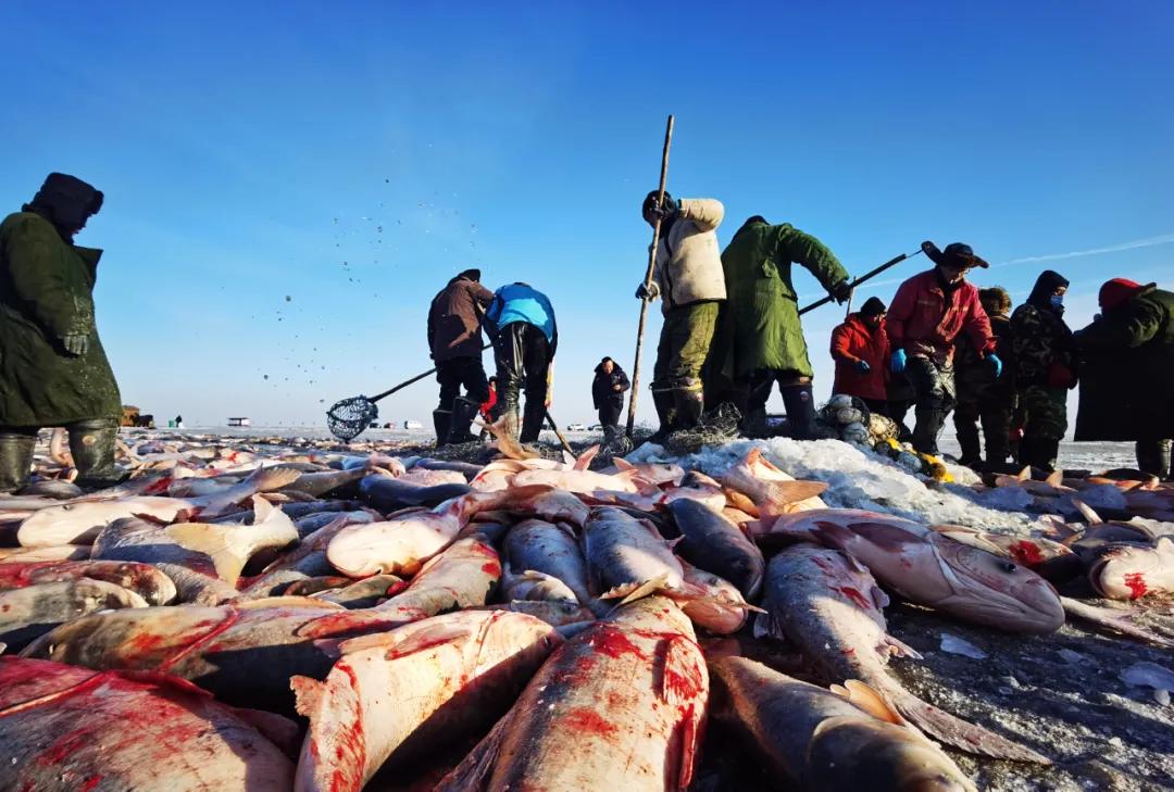 当芬兰童话遇见北欧森林：零下40℃的中国“北极”，美炸了