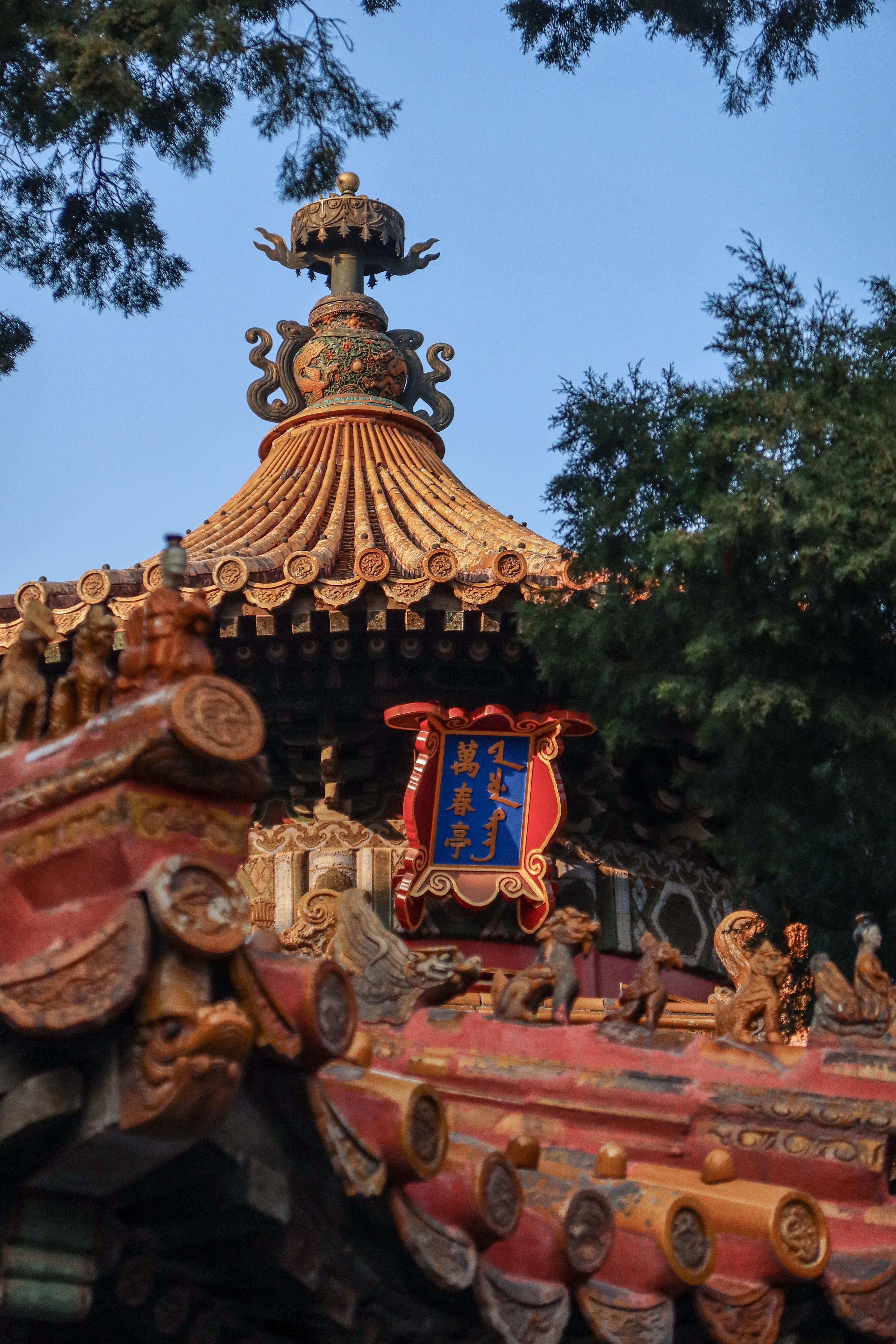 佳能g5xmarkii评测,佳能powershotg5随手拍