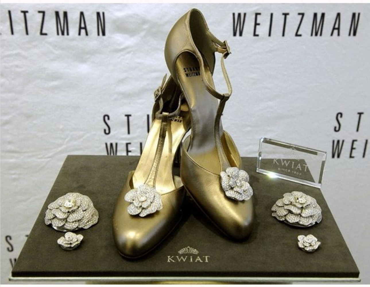 为什么有些高跟鞋特别贵,高跟鞋可以有多高看过才知道