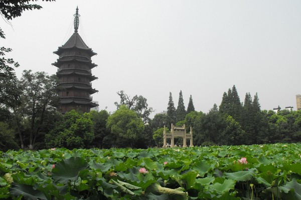 苏东坡清廉为官,苏东坡做官的品级