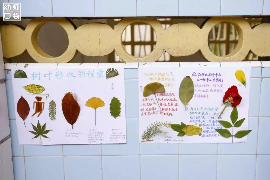 空间小、经费不足、面临*迁拆**，这家幼儿园却给出了满分的环境