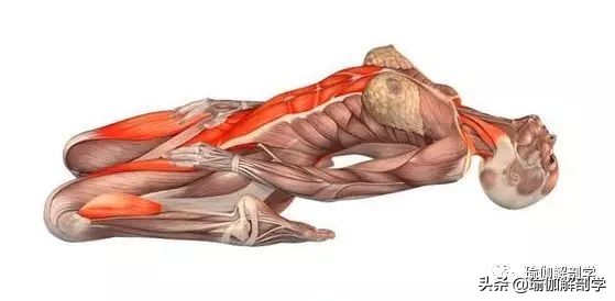 瑜伽英雄卧的好处和功效,瑜伽体式金刚卧腰痛