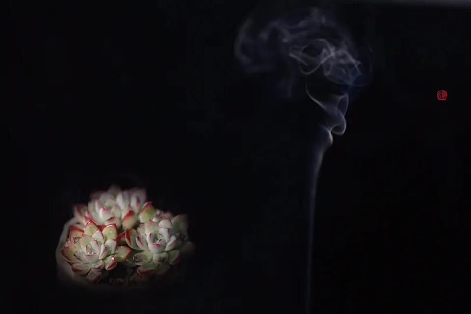 有所思全文,心有所思的美文