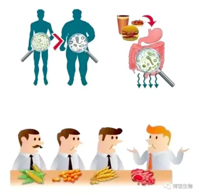 目前治疗二型糖尿病最前沿的方法,全世界治疗2型糖尿病最新方案