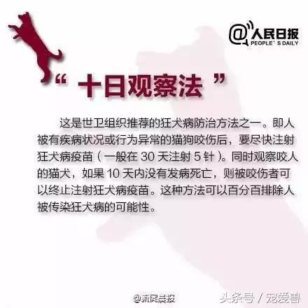被猫狗抓伤咬伤该打什么疫苗,猫狗抓伤有必要打疫苗吗