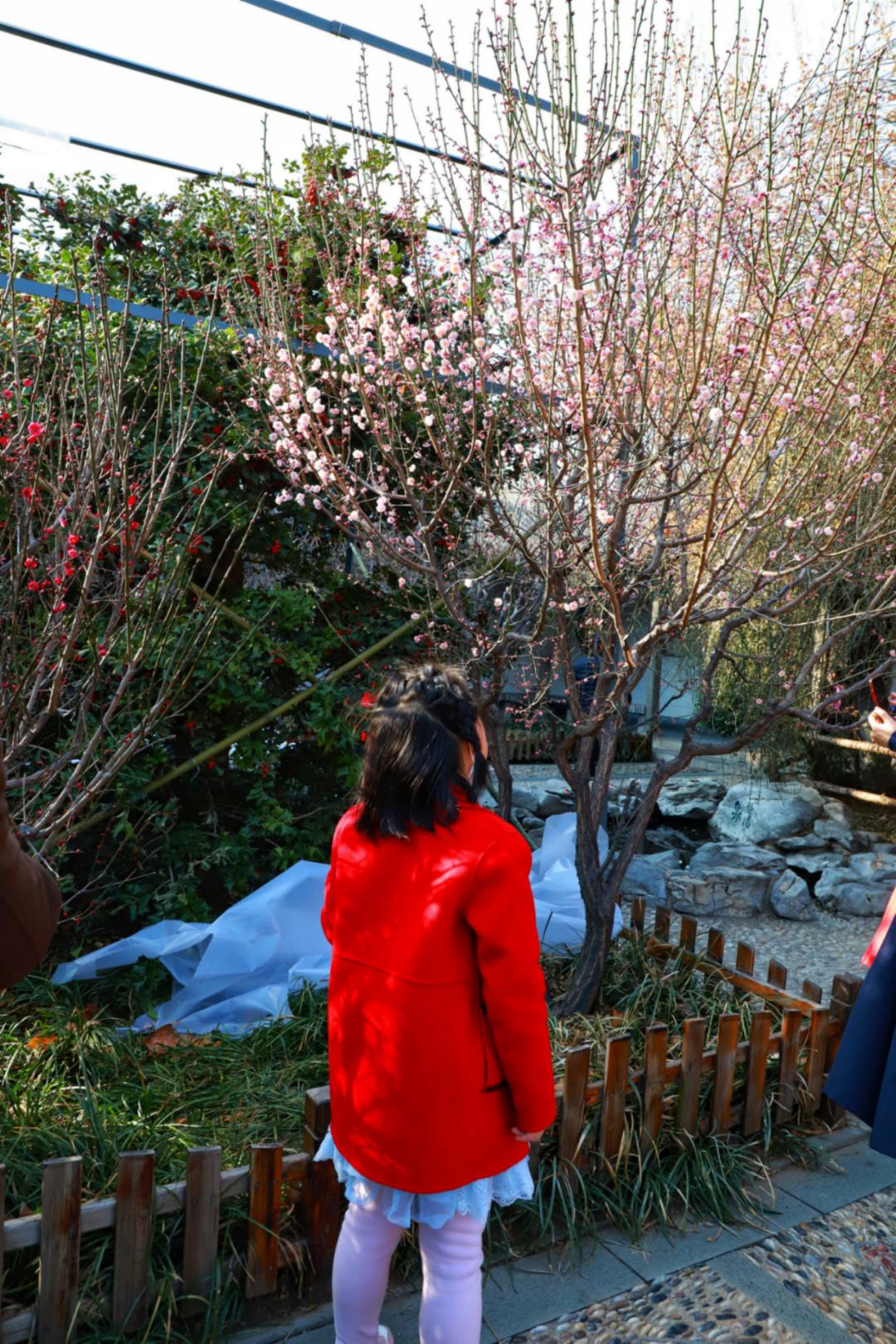 春天里最美的花儿，语文课本上的天下第一……一定要带孩子来