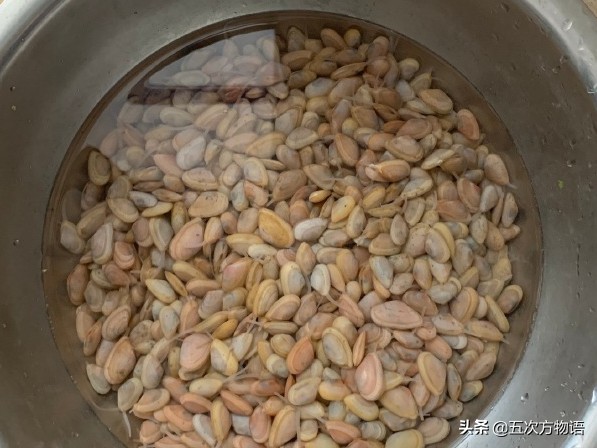 涓夌娴烽矞鍙粈涔堝悕,鎹炴眮灏忔捣椴滄捣鐡滃瓙