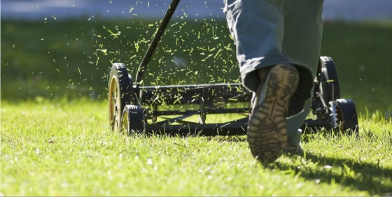分析大趋势与时俱进，让你在园林工具行业立于不败之地