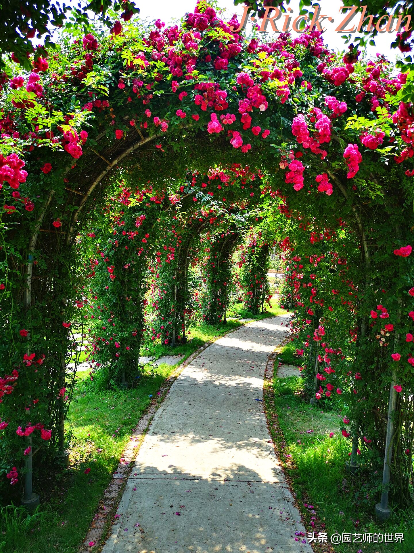 值得参观的国内优秀花园之品鉴（上篇）