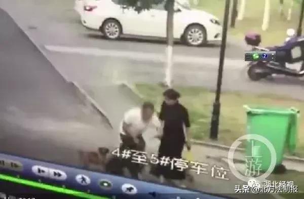 女子遛3只狗不牵绳！湖北男子遭狗撕咬*体下**受伤严重，缝了30多针