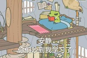 oppo哪一款耳机降噪好,oppo降噪耳机缺点