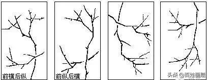 国画梅花画法视频,徐湛梅花画法教程