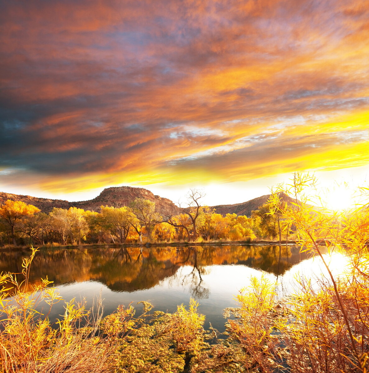 股票入门干货教程十步学会炒股,股票单边行情买卖技巧