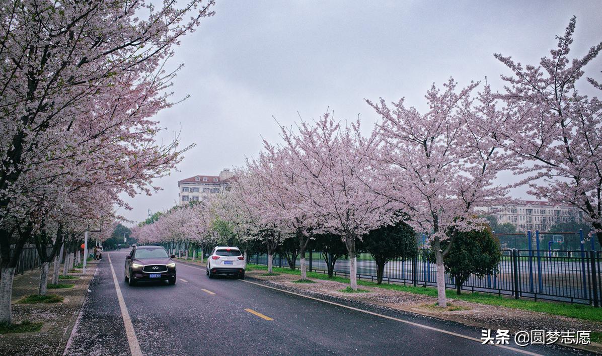 最值得收藏的8所学院,10所顶级211