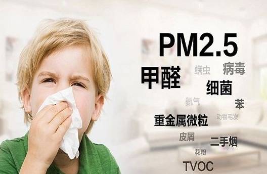 吸甲醛吸苯植物十大排行榜,什么绿色植物吸甲醛和苯