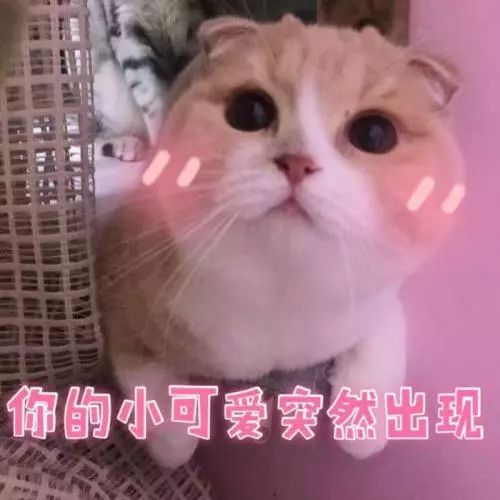 我背20块不到的童包出门，居然被人疯狂要链接？