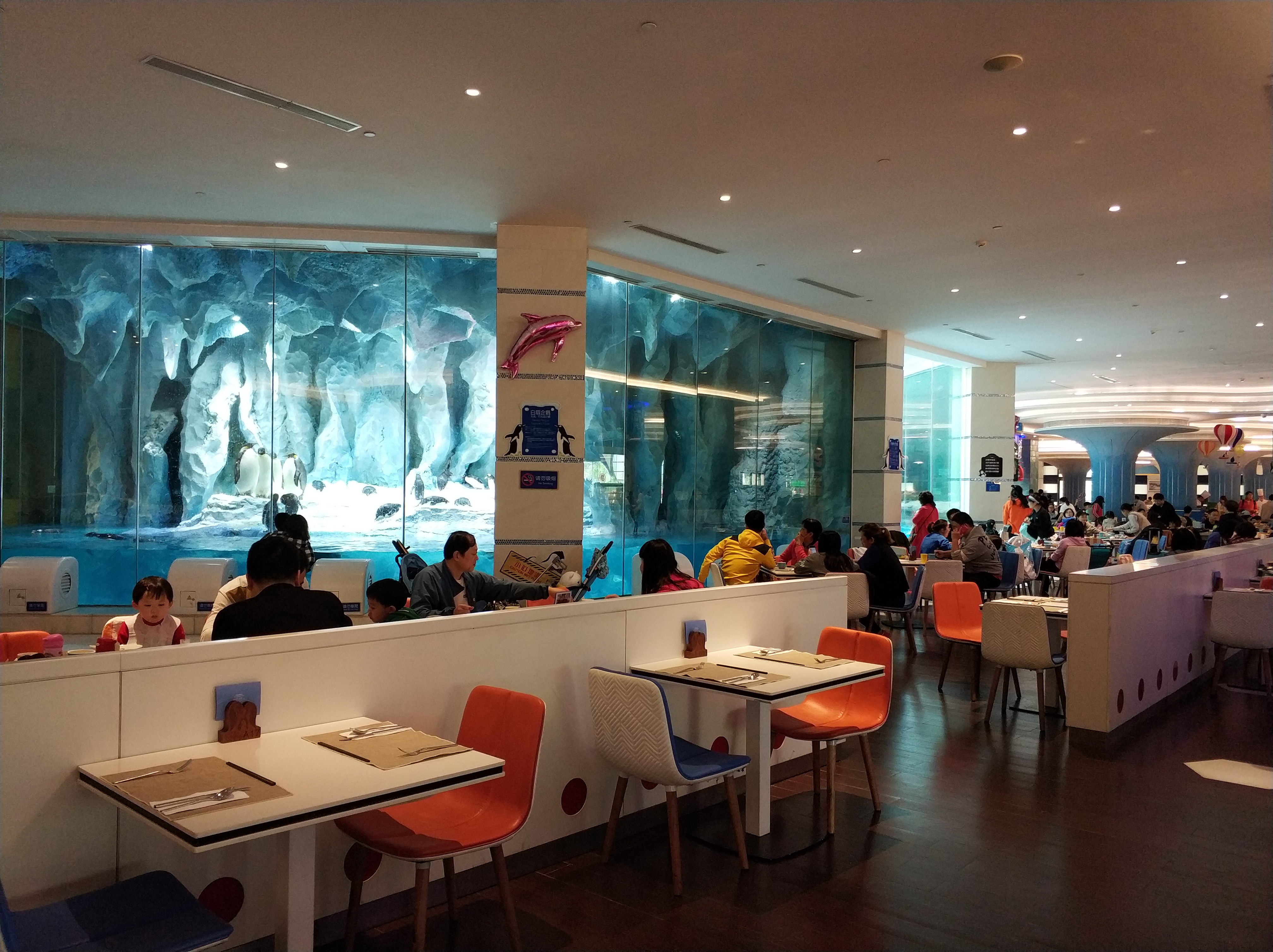 自驾珠海长隆最全游玩攻略,广州自驾游珠海长隆