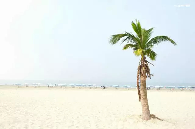 热带风景巴厘岛,享受巴厘岛热带风光的地方