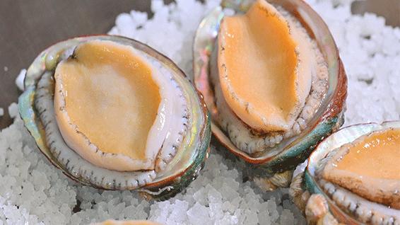 大渔铁板烧里的芝士扇贝,日式铁板烧芝士焗大虾