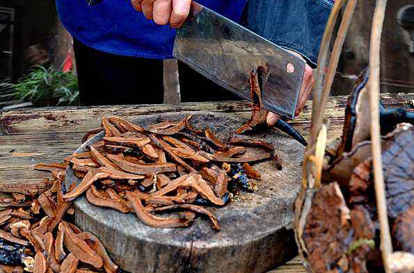 刚采的灵芝如何处理,野生灵芝怎么处理不会有毒