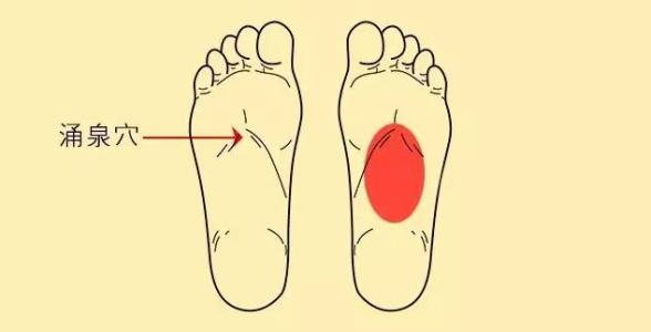 养心记住四个秘诀,养心就是养命使用养心妙招