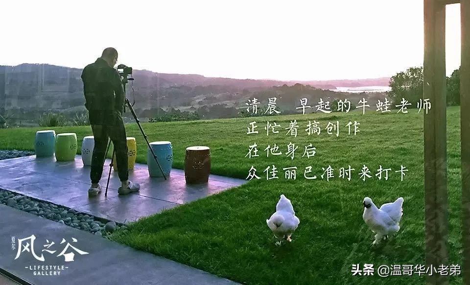 十几年的夫妻感悟,十年的老华人含泪感悟