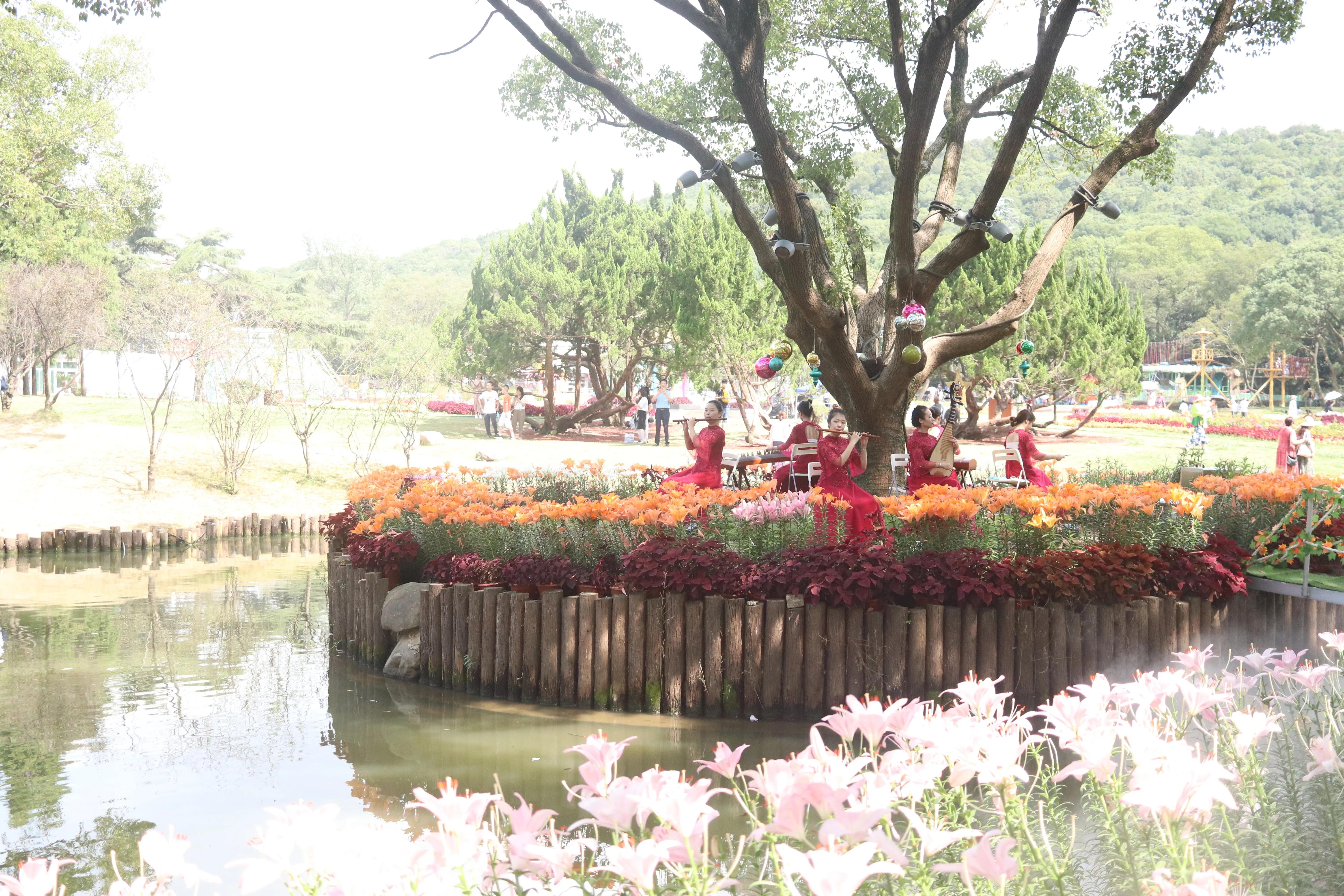 无锡荣氏梅园梅花绽放,无锡荣氏梅园百合花