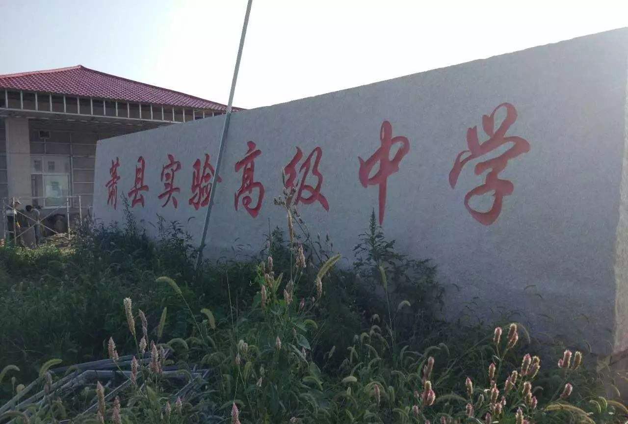 宿州5所高校排名,宿州市埇桥区重点高中排名前十位