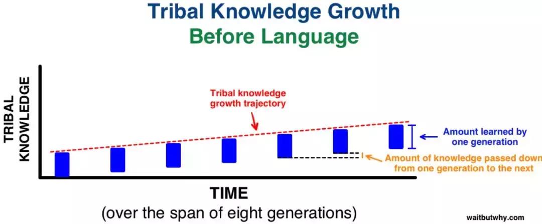 马斯克谈超级智能,马斯克公司公布猴子用意念玩游戏