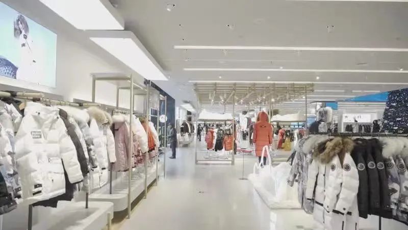 怒放的内心,怒放的野生花卉