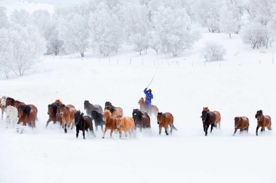 坝上风情坝上人,坝上哪最适合露营