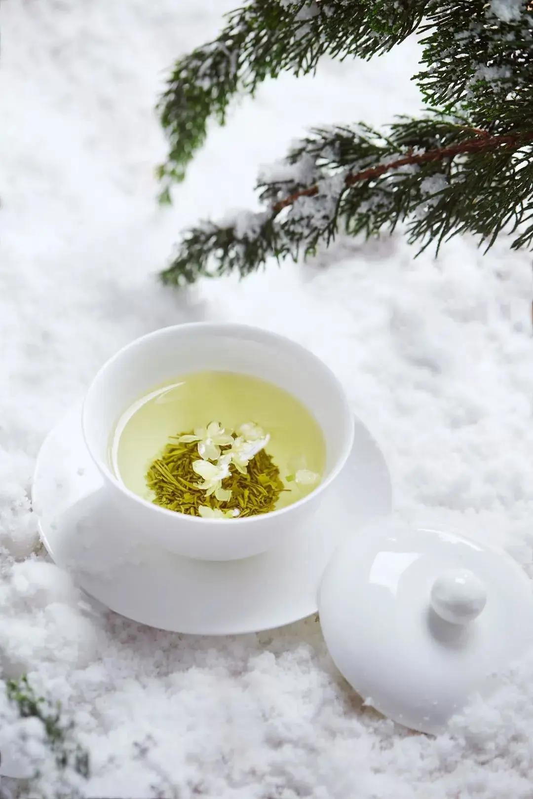 十二生肖对应12星座的哪些动物,12星座代表哪些茶类