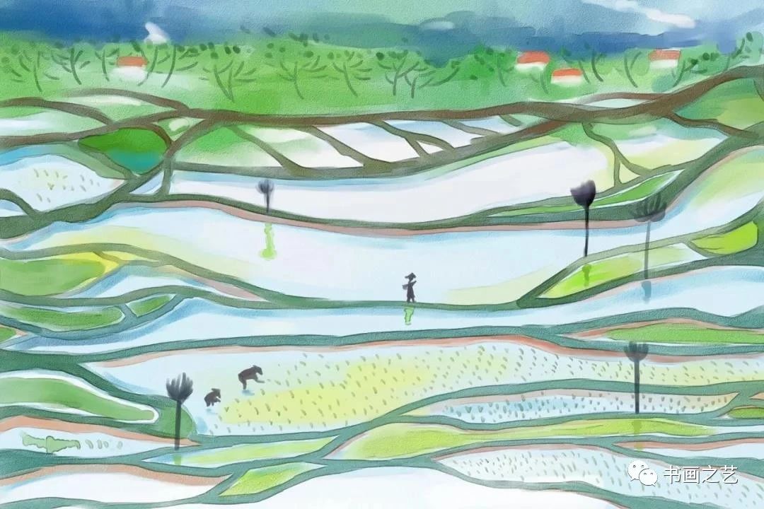 有芒的麦子和无芒的麦子,有芒刺的稻子