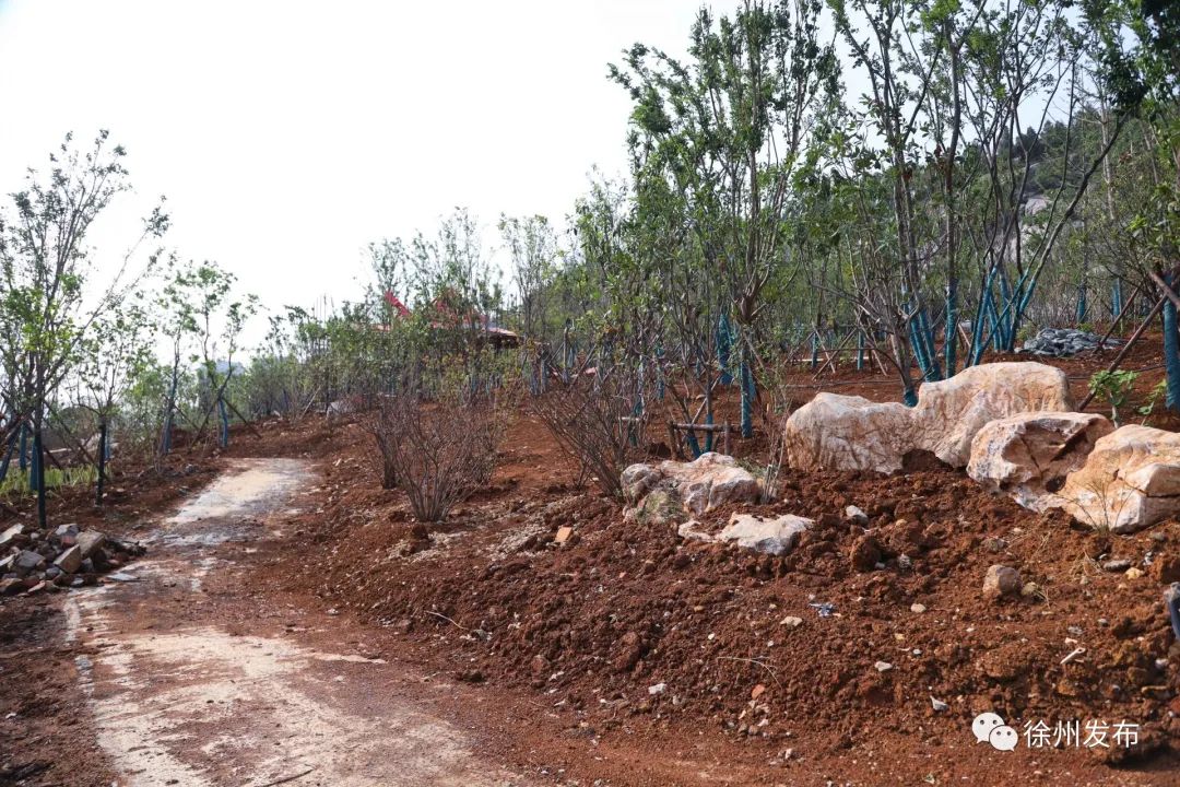 好消息不断传来,好消息鼓舞人心