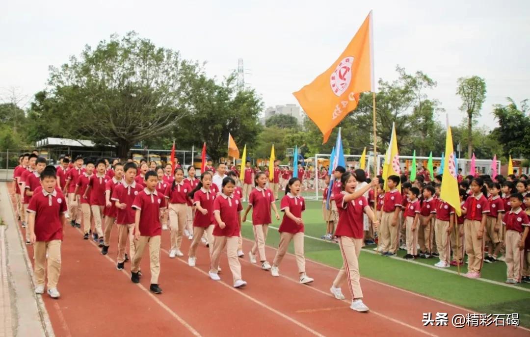 石碣四海学校排名,石碣四海小学招生简章