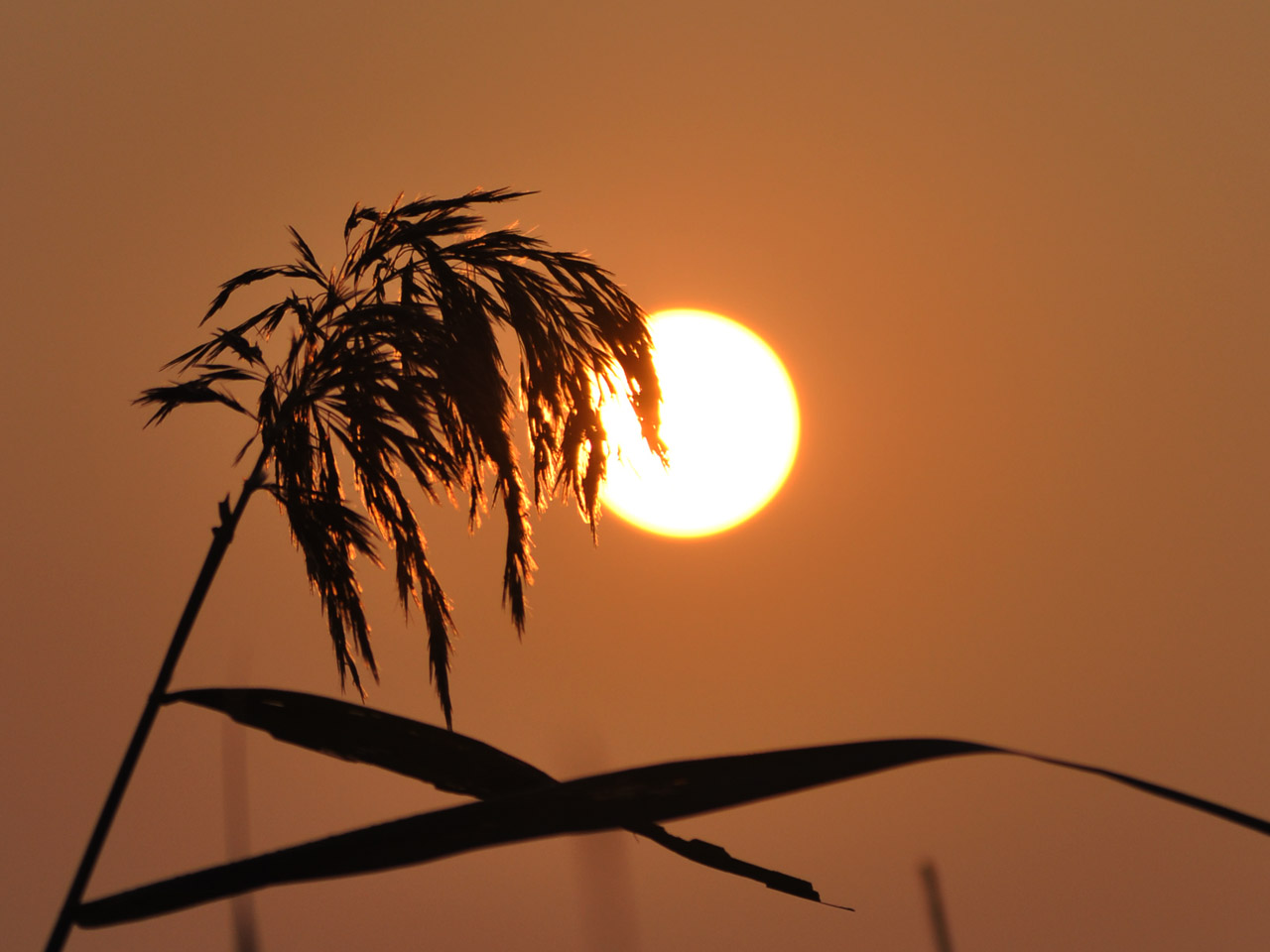 心态好的五种习惯,心态好的人都有这三种习惯